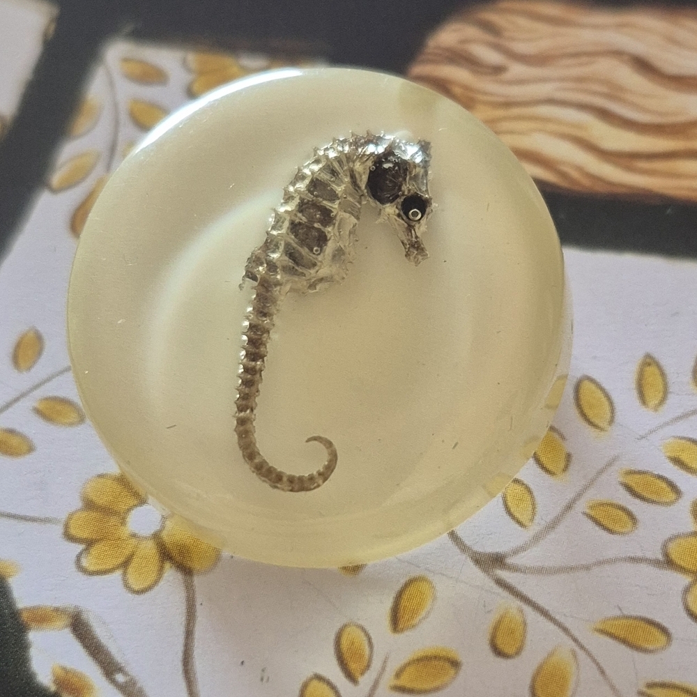 Seahorse Resin Paperweight - Cream